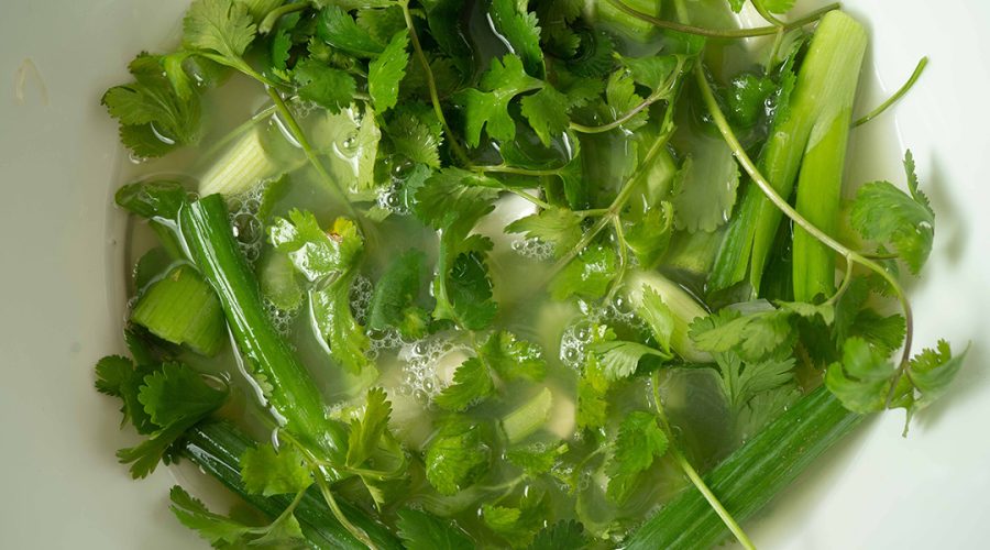 a pic of cilantro and scallions
